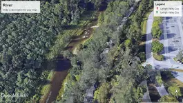 River Picture.webp