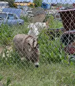 20240523_142713.webp