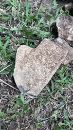 IMG_6167.webp