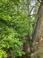 20240525_103647.webp