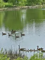 20240525_102932.webp