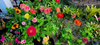 1000007637.webp