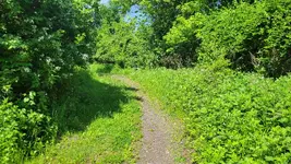 20240525_102557.webp