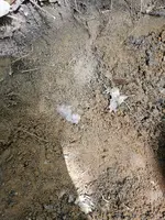 20240530_145541.webp