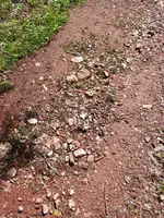 20240406_105859.webp