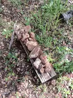 20240406_105655.webp