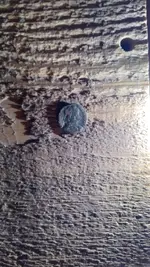 obverse.webp