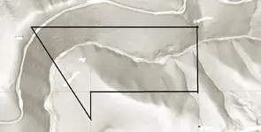 image.webp