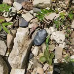 20240606_112605.webp