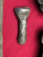 Silver Ships' rivet.webp