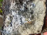 it's a rock.webp