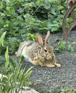 20240608_071229.webp