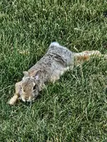 20240610_192339.webp