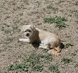 20240523_103234.webp