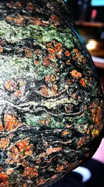IMG_20240614_172643.webp