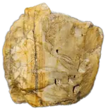 20240614_225822.webp
