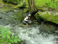 20240525_163618.webp