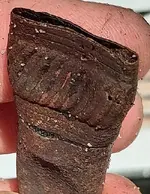 DecorativeCopperTube-3CrushedEnd.webp
