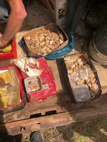 IMG_20240615_100300.webp