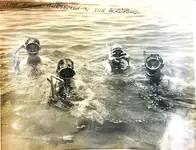 mom and dad diving.webp