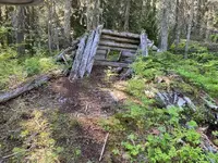 cabin runis.webp