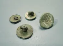 pewter buttons.webp