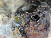 17.webp