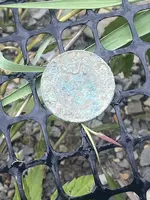 790884E9-5DD1-493F-8CF7-A63DBDF15B8C (1).webp