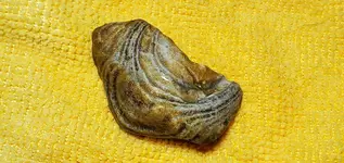 20240702_144837.webp