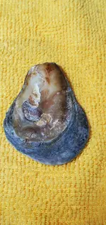 20240702_144315.webp