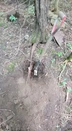 20240704_131942.webp