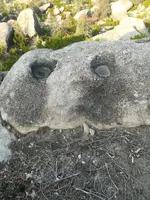 IMG-20210118-WA0073.webp