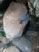 20181109_141714-1.webp
