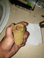20240711_220828.webp