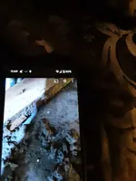 17210189061105509644213145465897.webp
