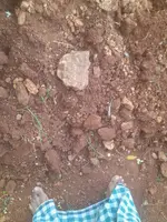 20240719_072809.webp