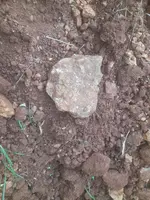 20240719_072750.webp