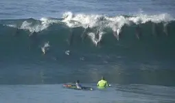 Surfing.webp