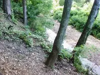hunt site.webp