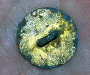 buttonb.webp
