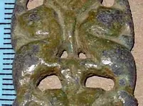 face1.webp