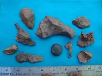 jpeggrmeteorites.webp