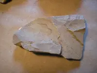 moglyph 008.webp