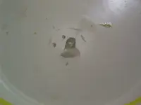IMAG0001.webp