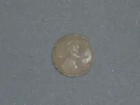 CIMG0507.webp