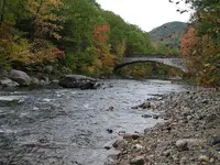 river1.webp