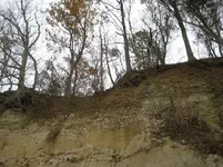 20071202_0450b.webp