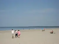 wh 017.webp