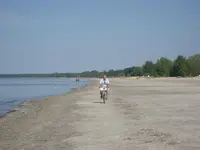 wh 019.webp