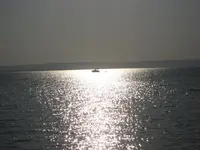wh 031.webp